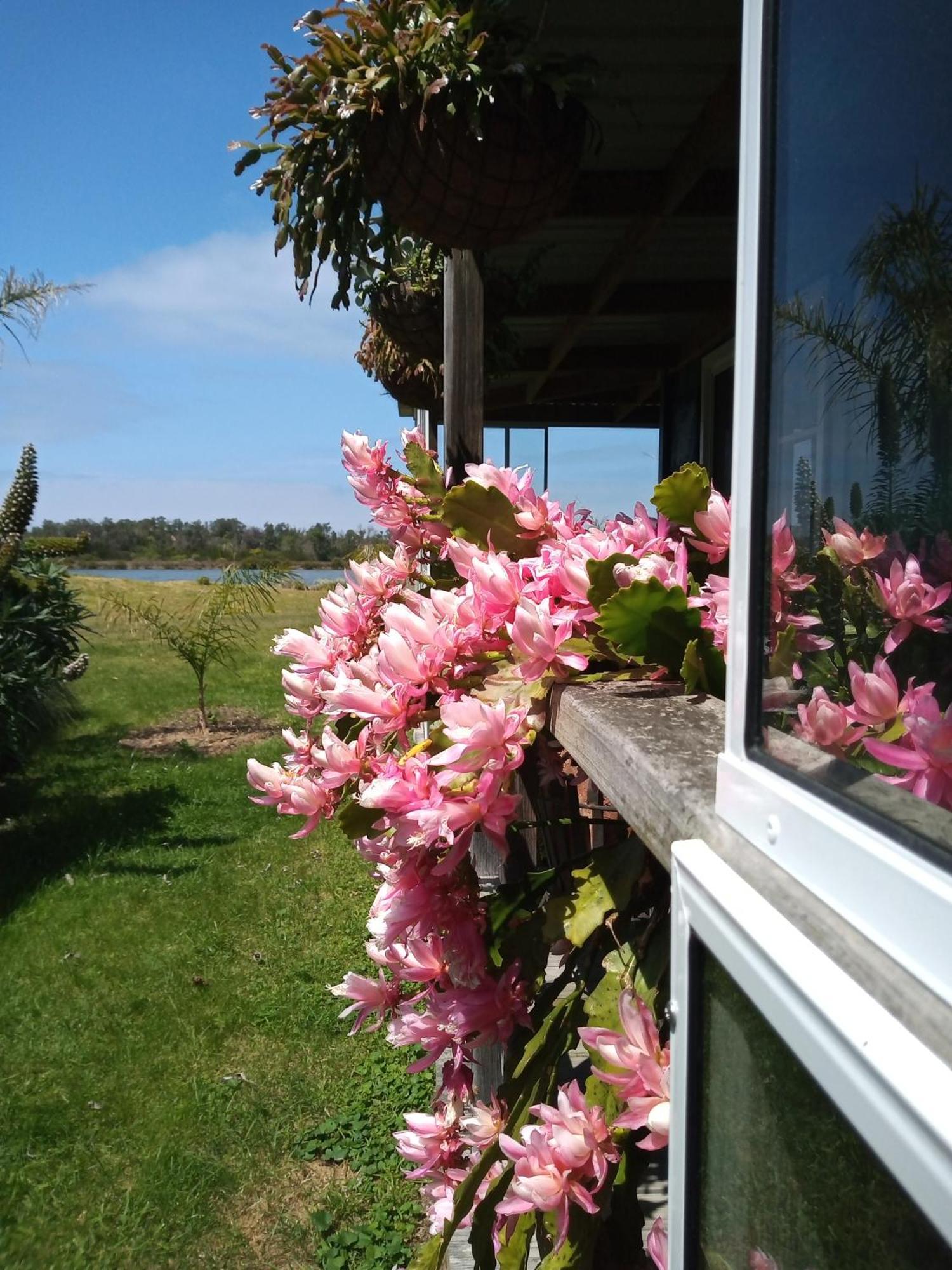 Lakes Entrance Waterfront Cottages With King Beds Ngoại thất bức ảnh