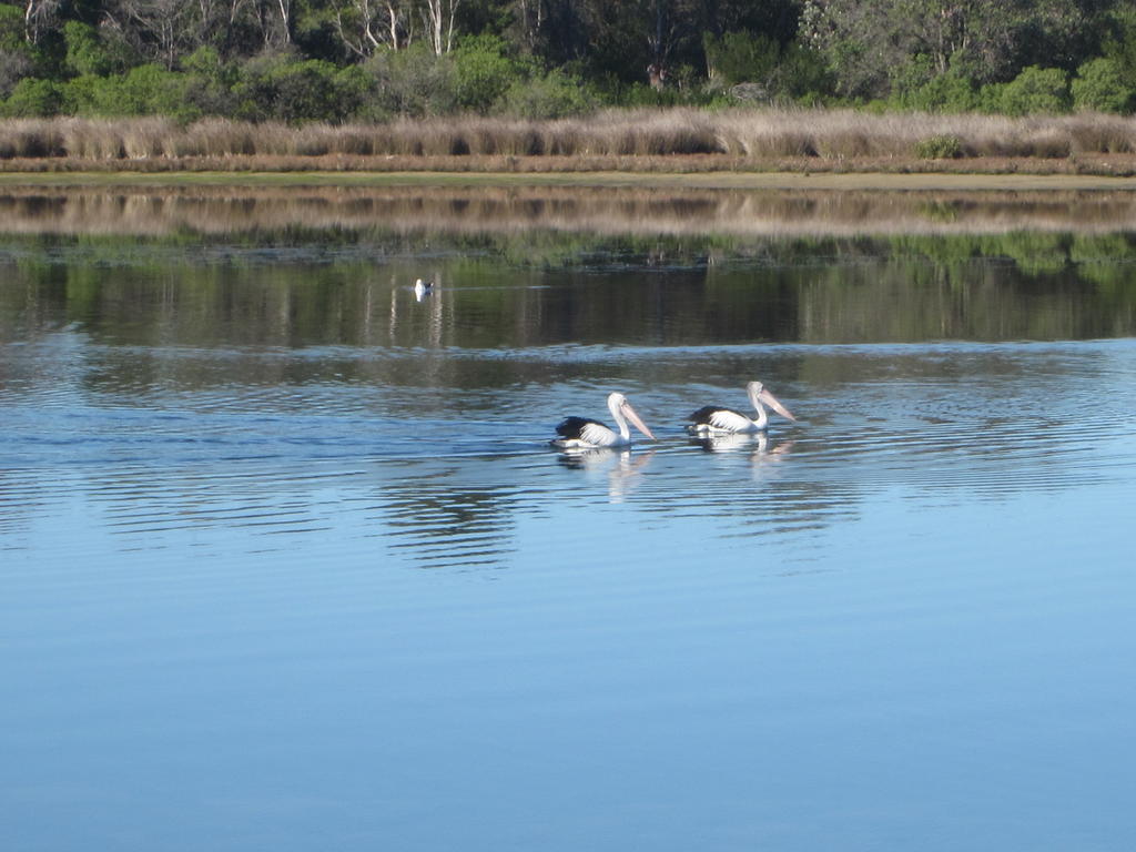 Lakes Entrance Waterfront Cottages With King Beds Ngoại thất bức ảnh